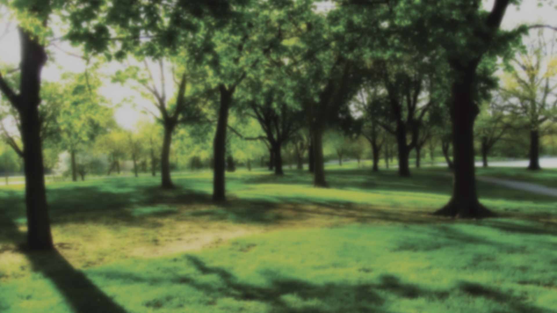 Environment