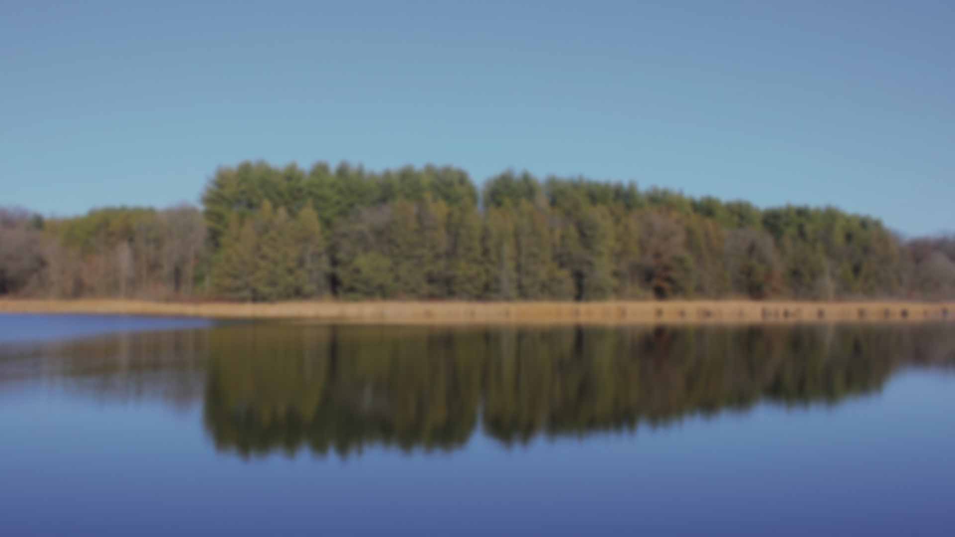 Climate Change